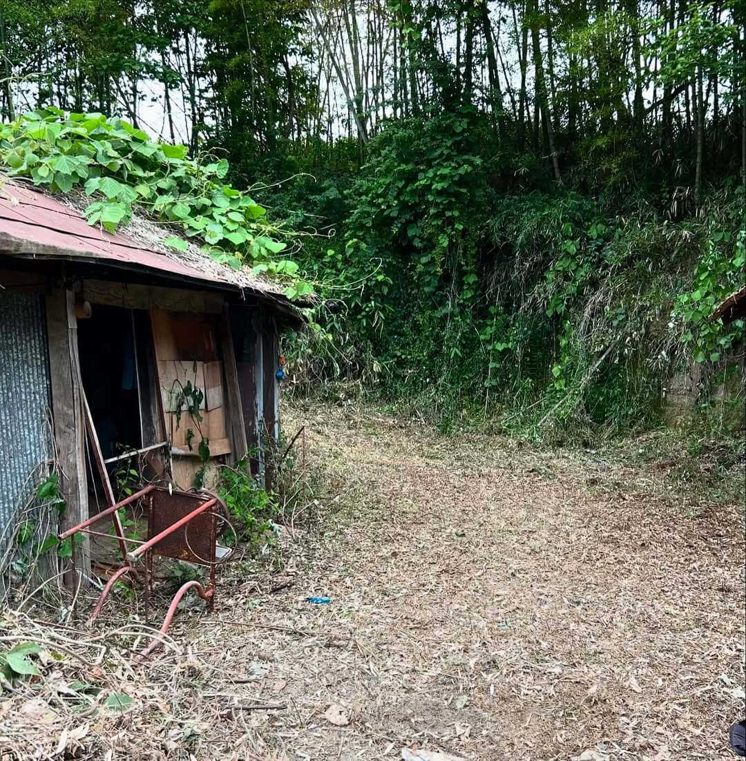 空き家管理